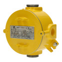 Boîte de Dérivation Industrielle ATEX 3 voies M20 IP66