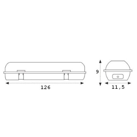 Medidas