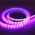 Tira LED 12V RGB Impermeable 14.4W/m 4200lm