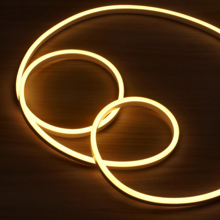 Flexible Neon Strip 220V...