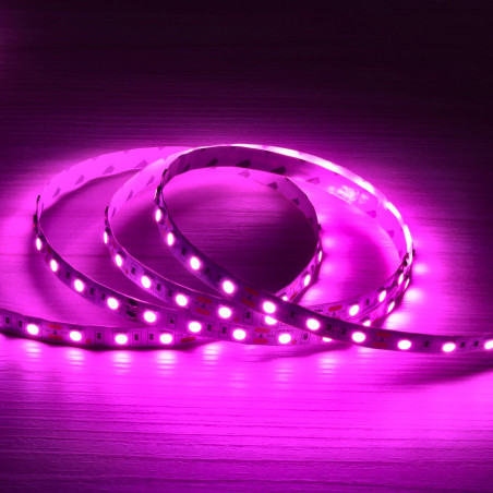 Tira LED 12V Especial Carnicerías