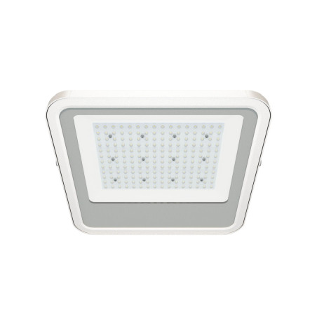 ATEX LED-Strahler 100W zur Aufputz- oder Einbaumontage für Tankstellen