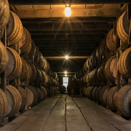 Bodega ATEX E27 IP66 Industrial Luminaire