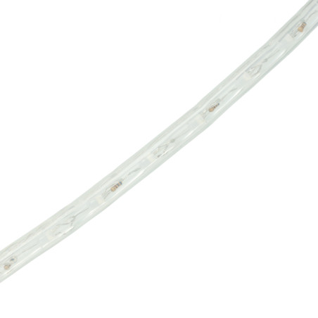 Striscia LED RGB 220V IC 36 LED/m
