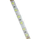 Striscia Led 5m 24V 14.4W/m IP65