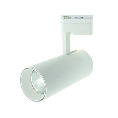 Rail LED Tracklight- White, Directional, 30W