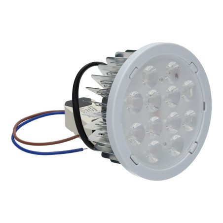 AR111 12W
