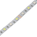 Tira LED 12V RGBW 14.4W/m 4200lm 10mm Ancho IP20