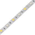 Tira LED 12V RGBWW 14.4W/m 4200lm 10mm Ancho IP20 - Rollo 5 metros